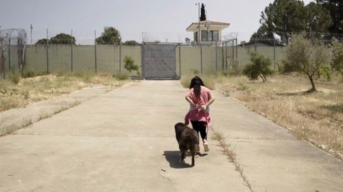 Το «Saved by a Greek Stray» στις Γυναικείες Ελληνικές Φυλακές 